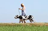PROMENER 004